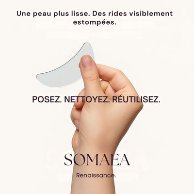 Kit Renaissance - Somaea